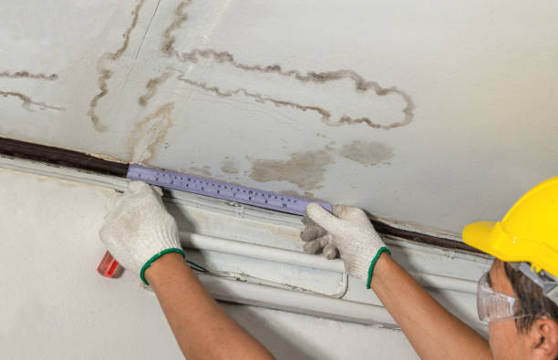 Reliable Water Damage Repair contractor in South Carolina, SC by Hirex Water Damage